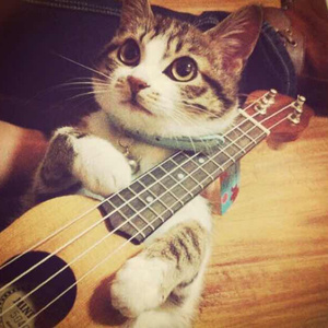 囯产精品久久久久久久久搜平片
